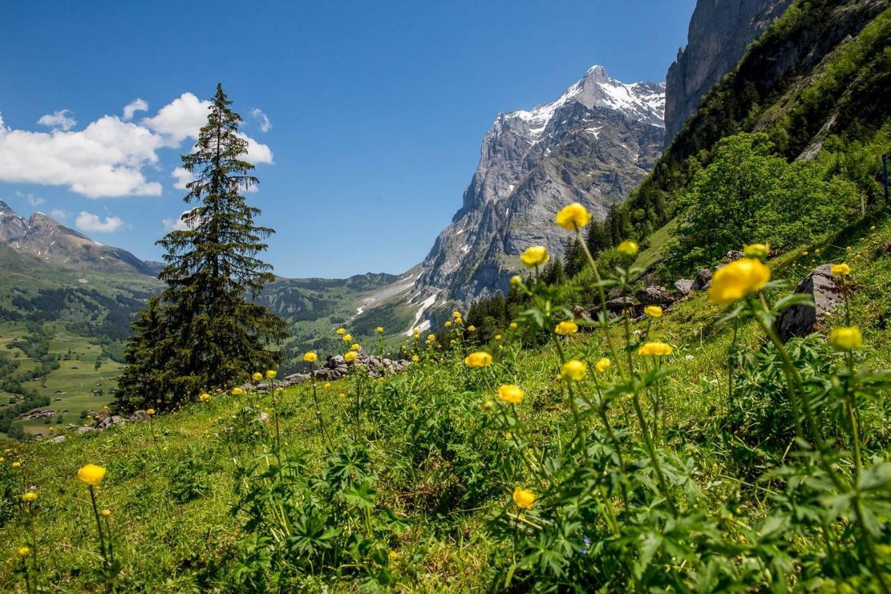 Chalet Verbrunnenhaus Grindelwald Exterior foto
